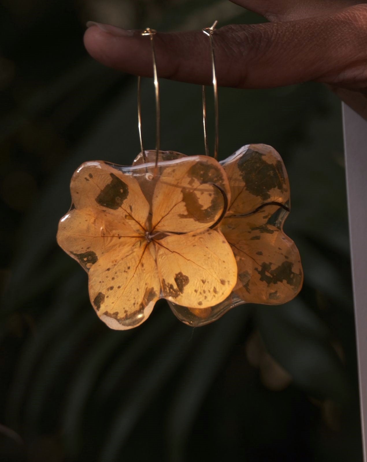 Dropping Gold Bloom - Hoops