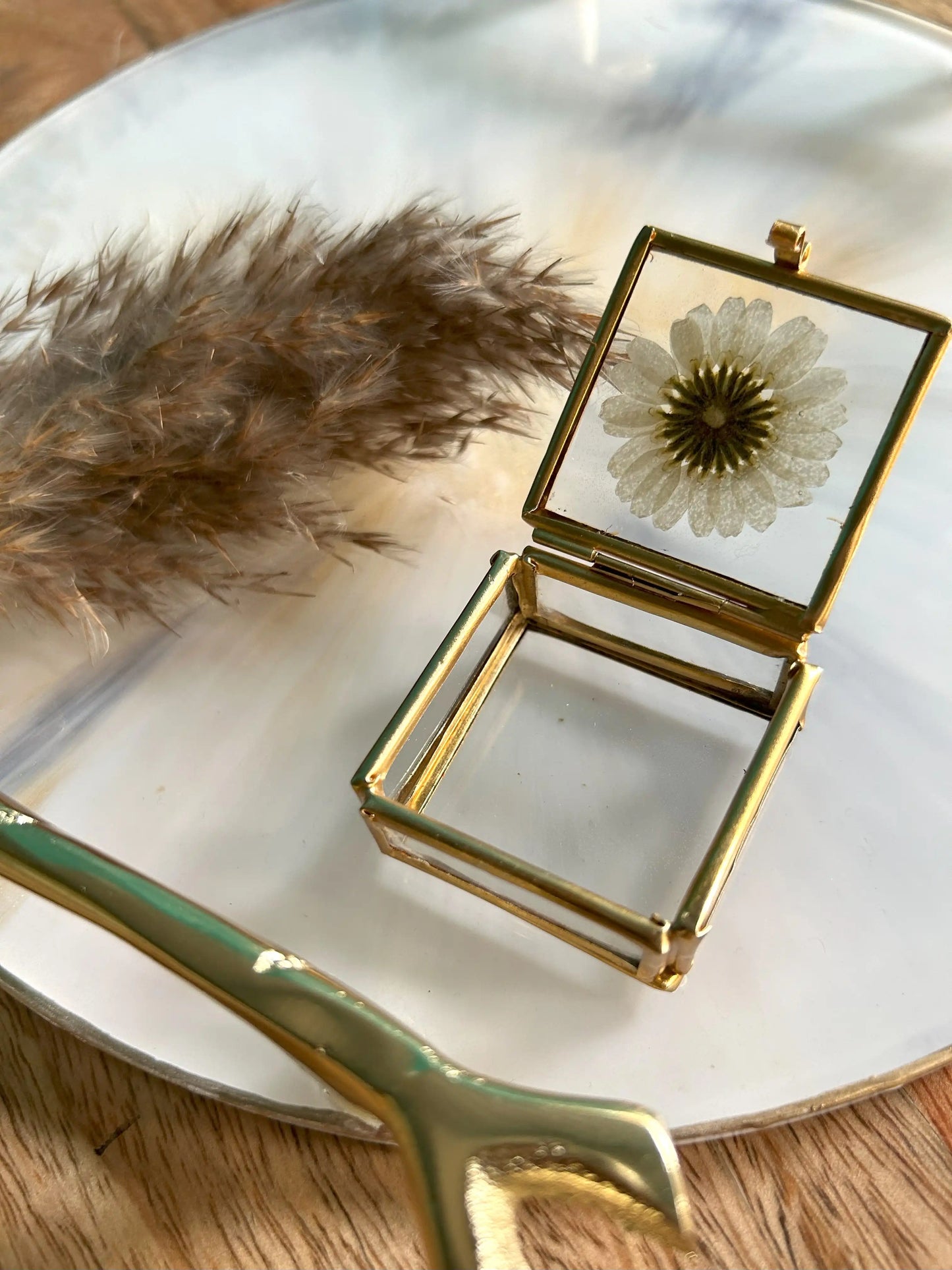 Glass Daisy Delight