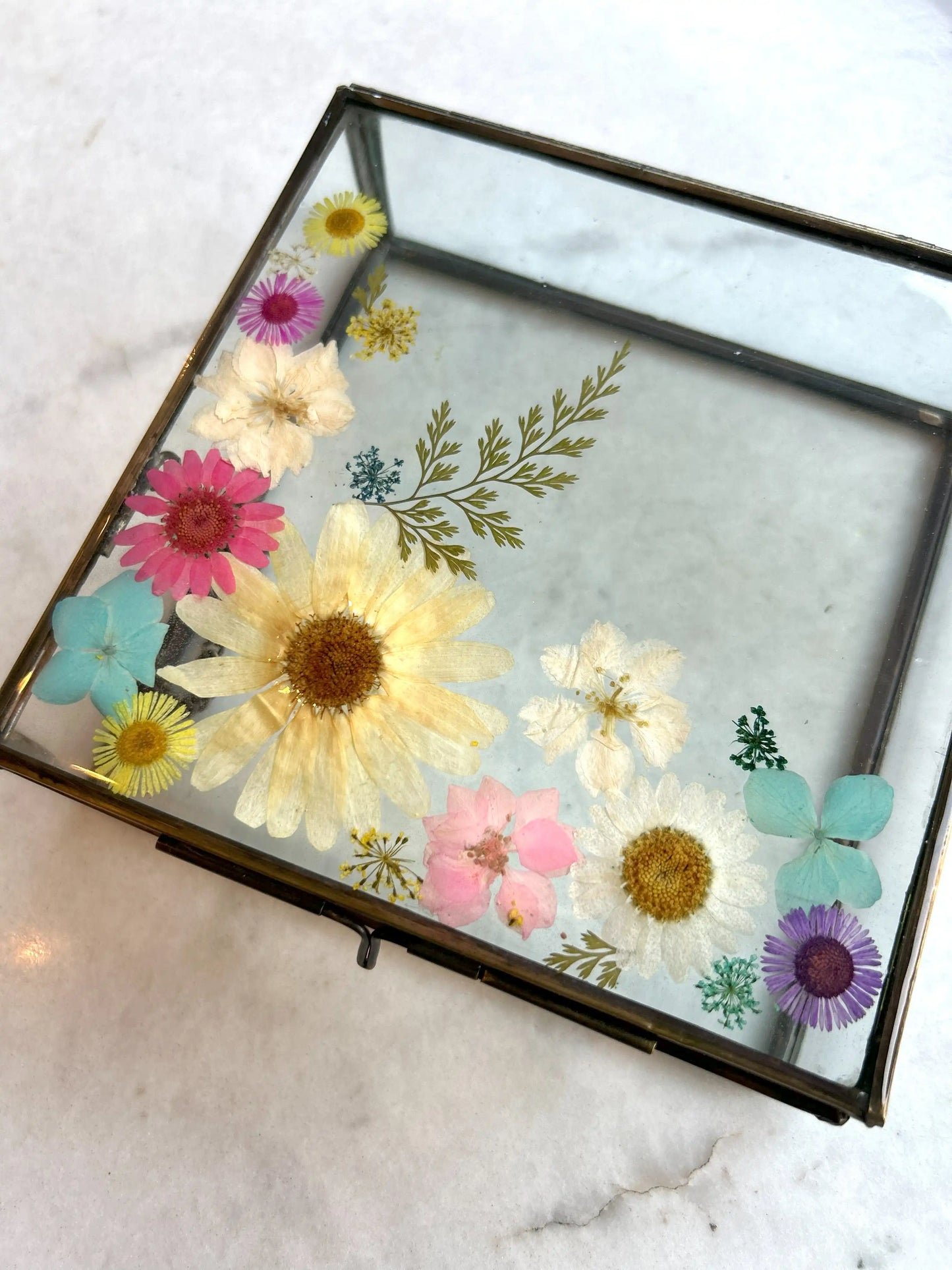 Glass Garden Box