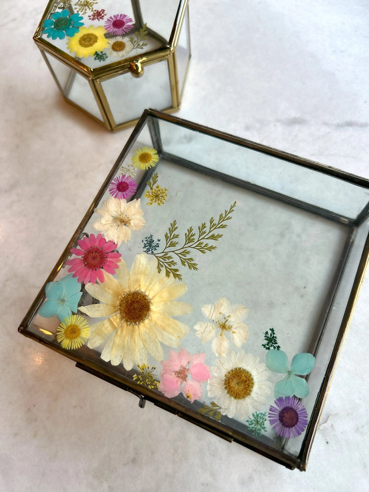 Glass Garden Box