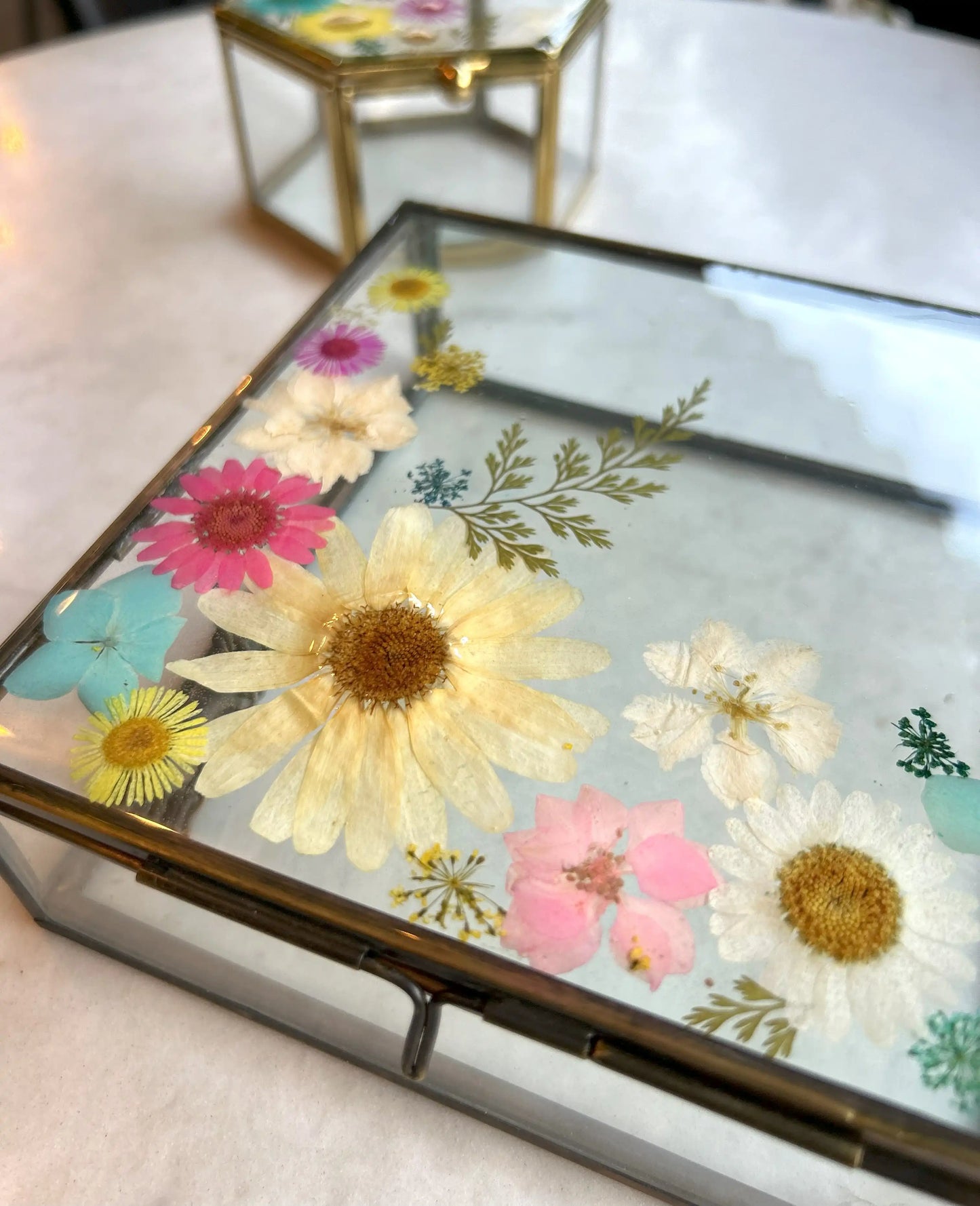 Glass Garden Box