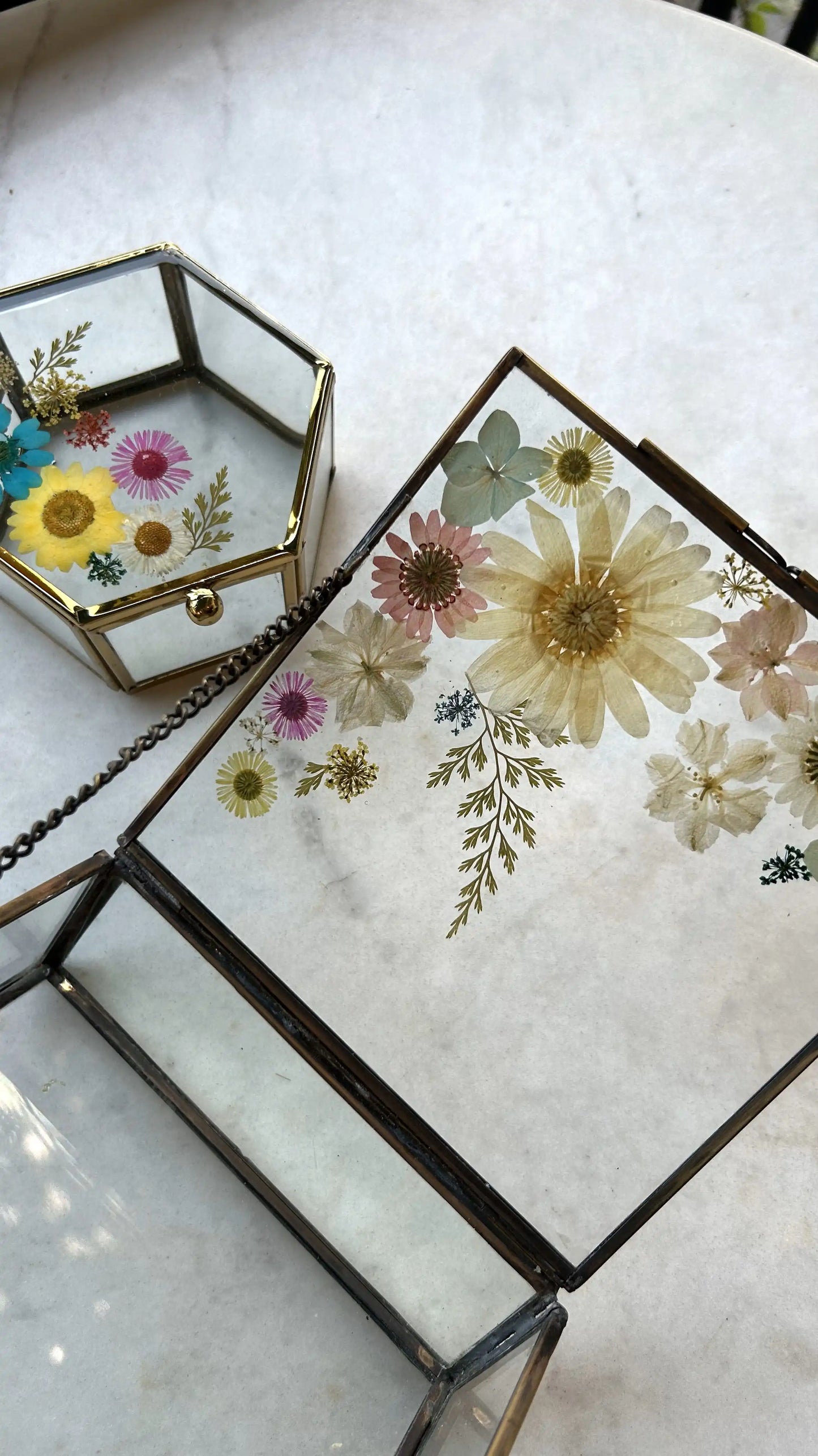 Glass Garden Box