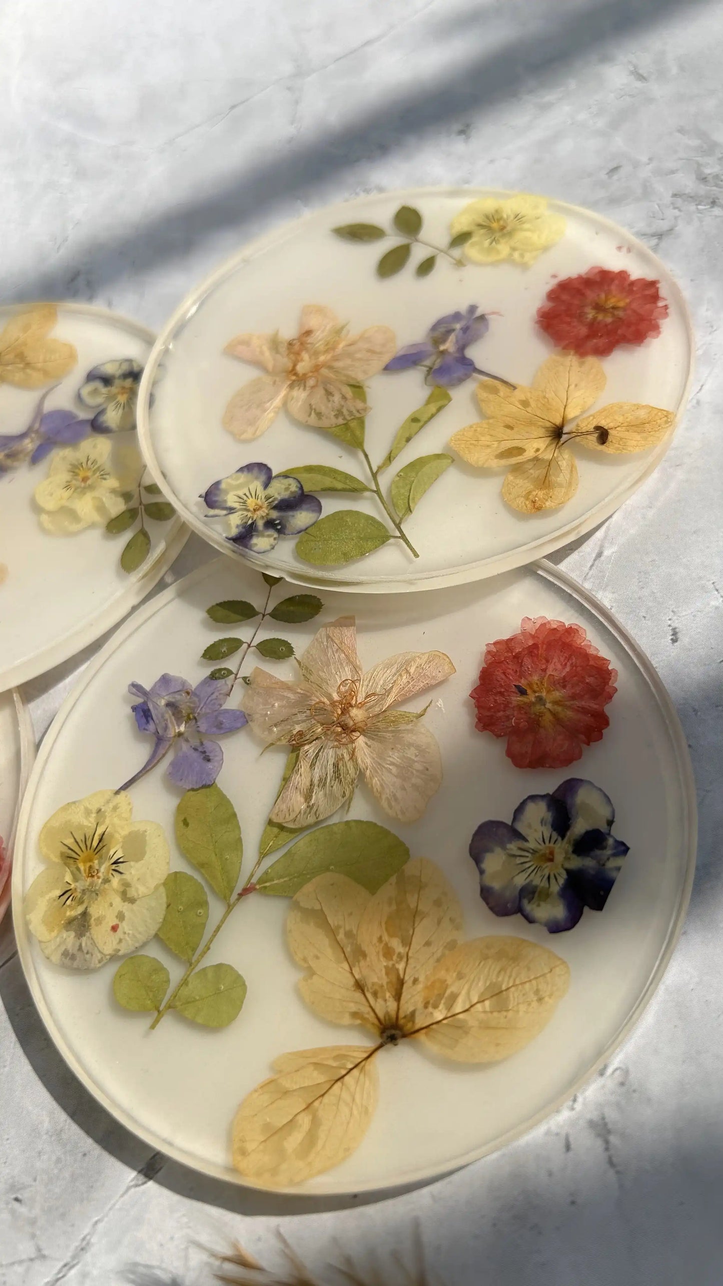 GardenGlow Coaster