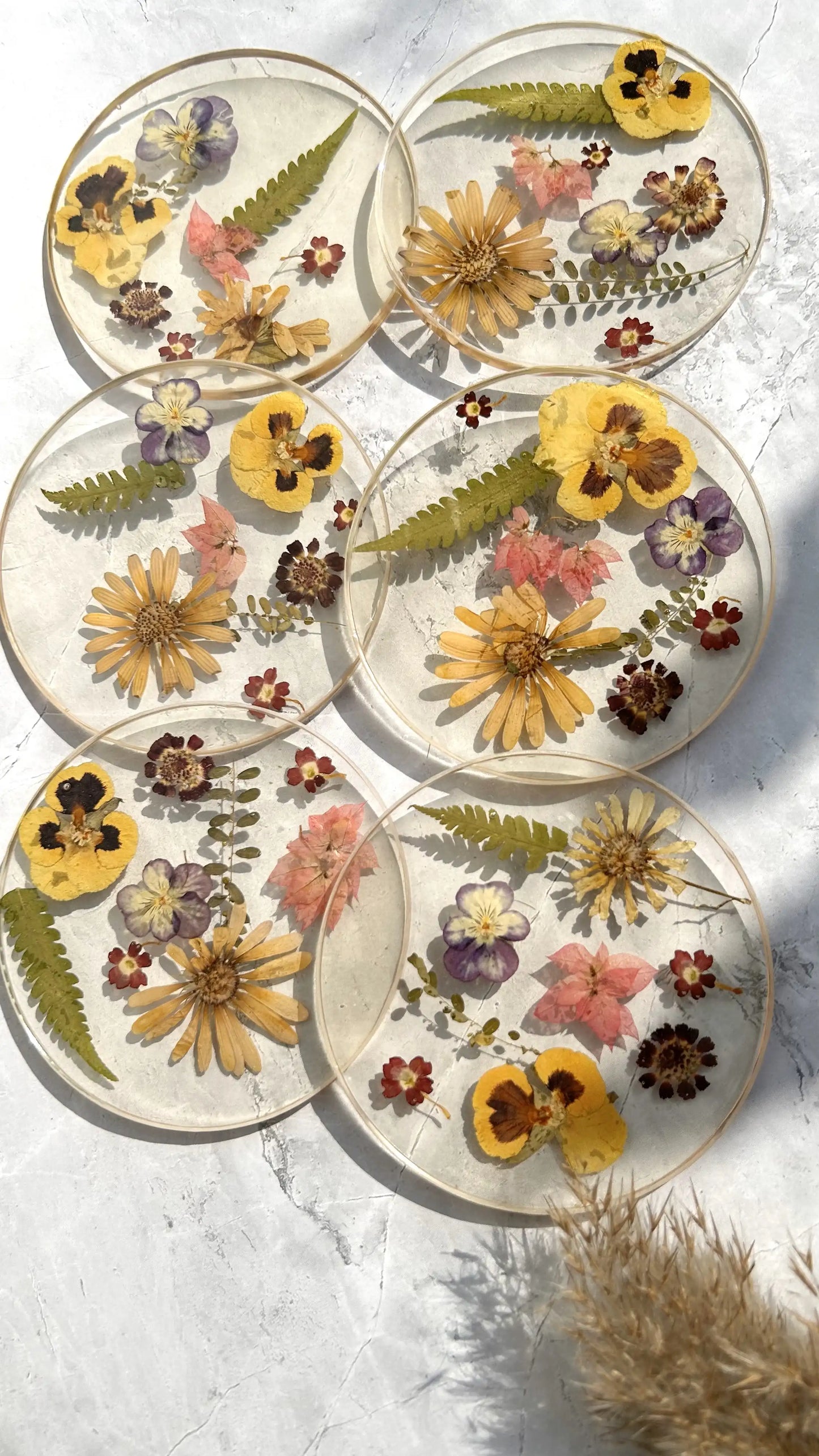 Vivid Flora Coaster Set