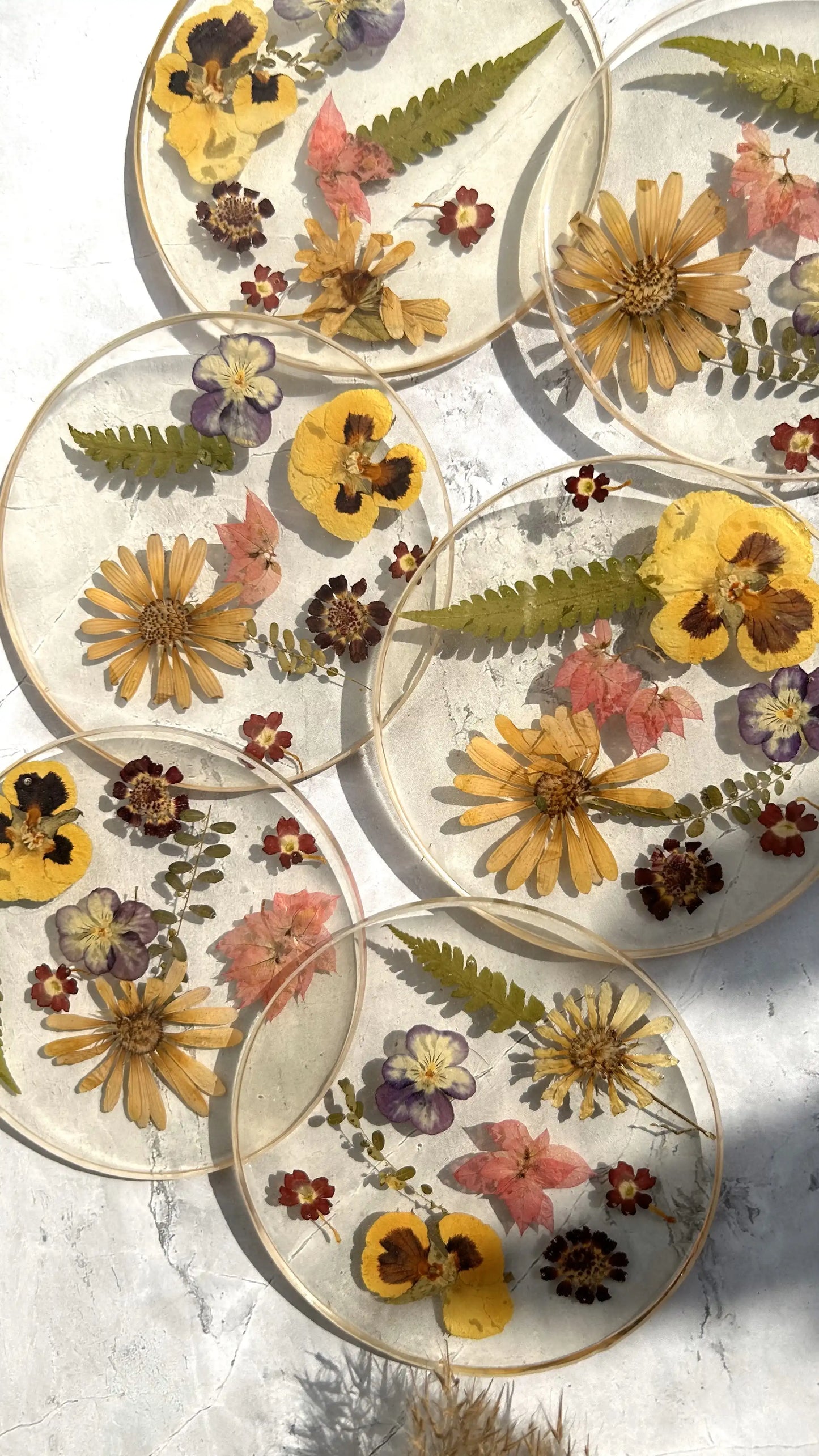 Vivid Flora Coaster Set