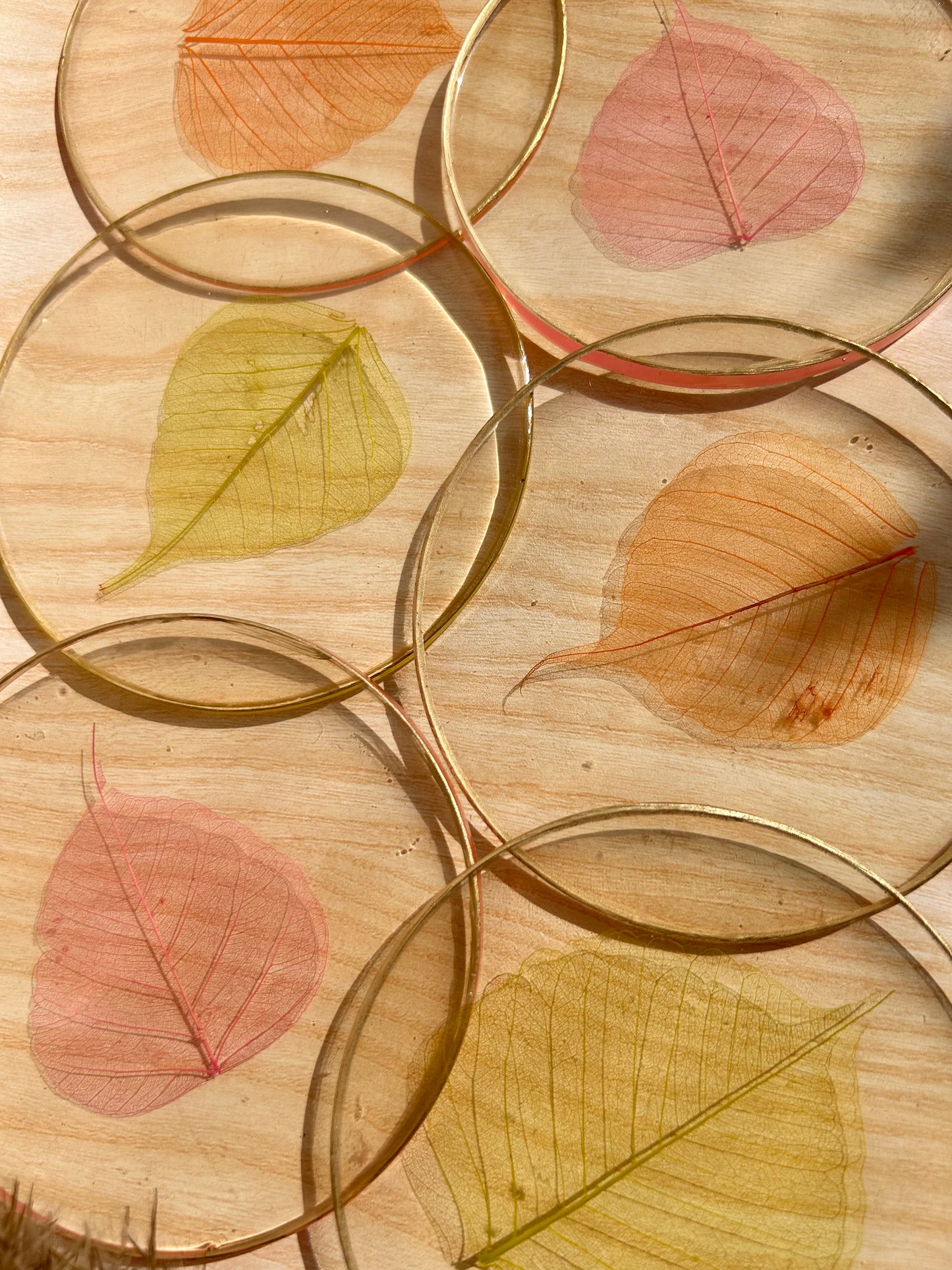 Skeleton Leaf Coasters II - Set of 6