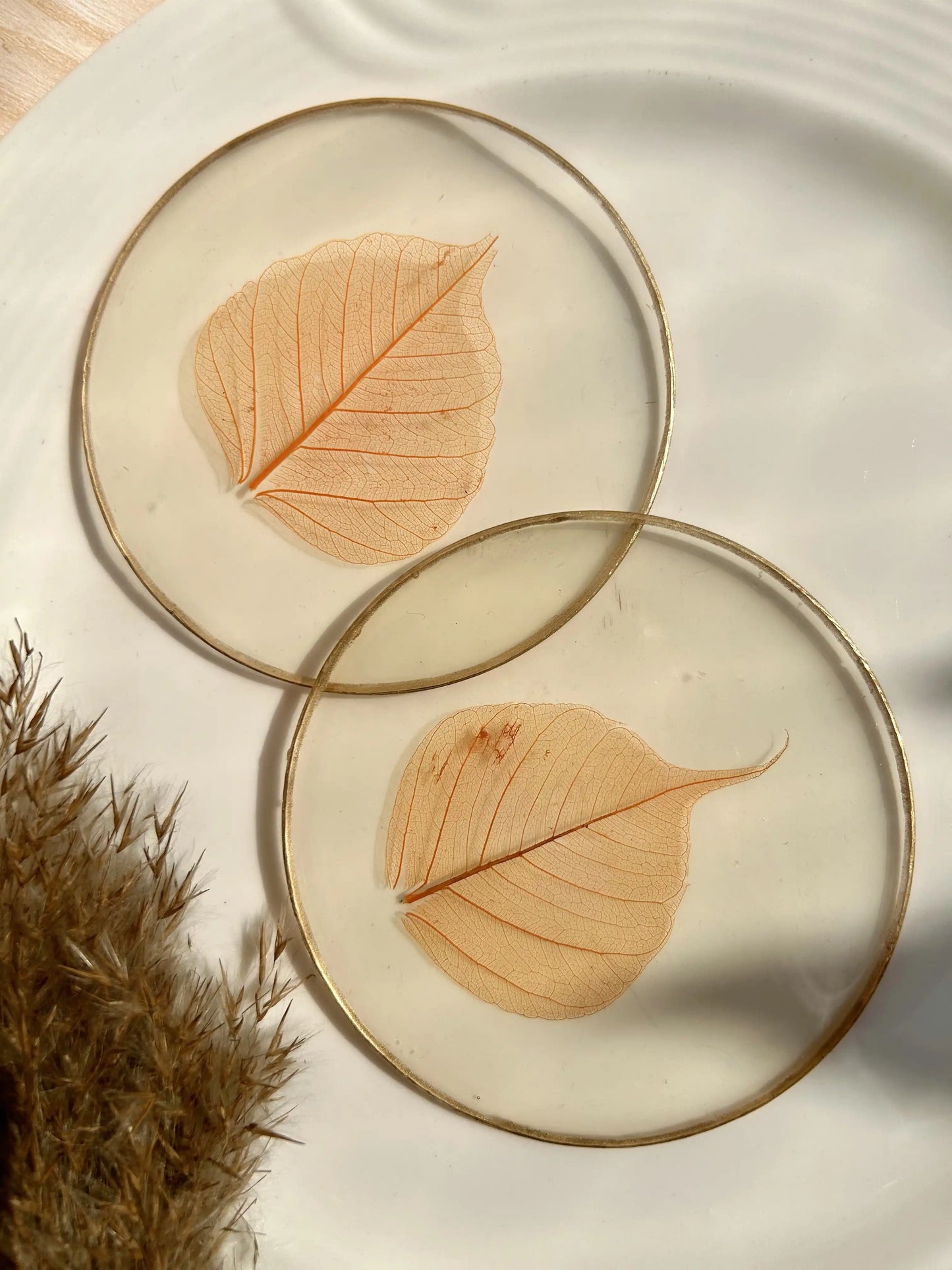 Skeleton Leaf Coasters II - Set of 6