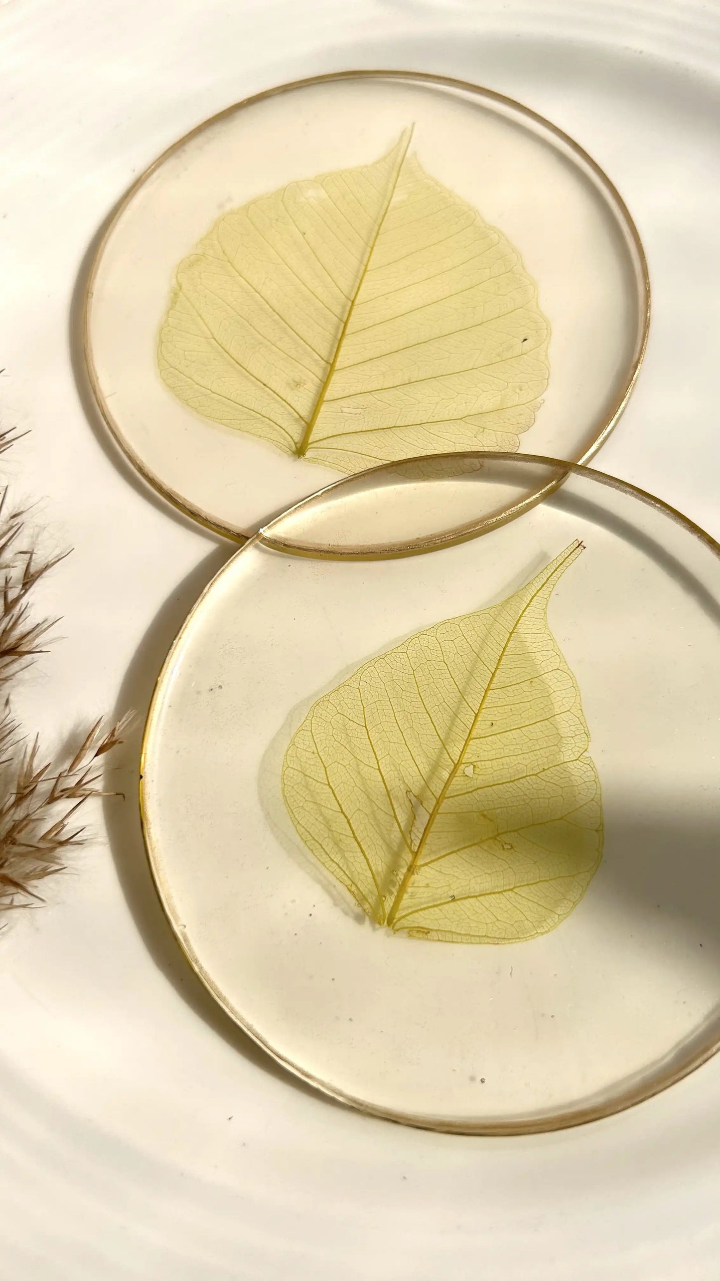 Skeleton Leaf Coasters II - Set of 6