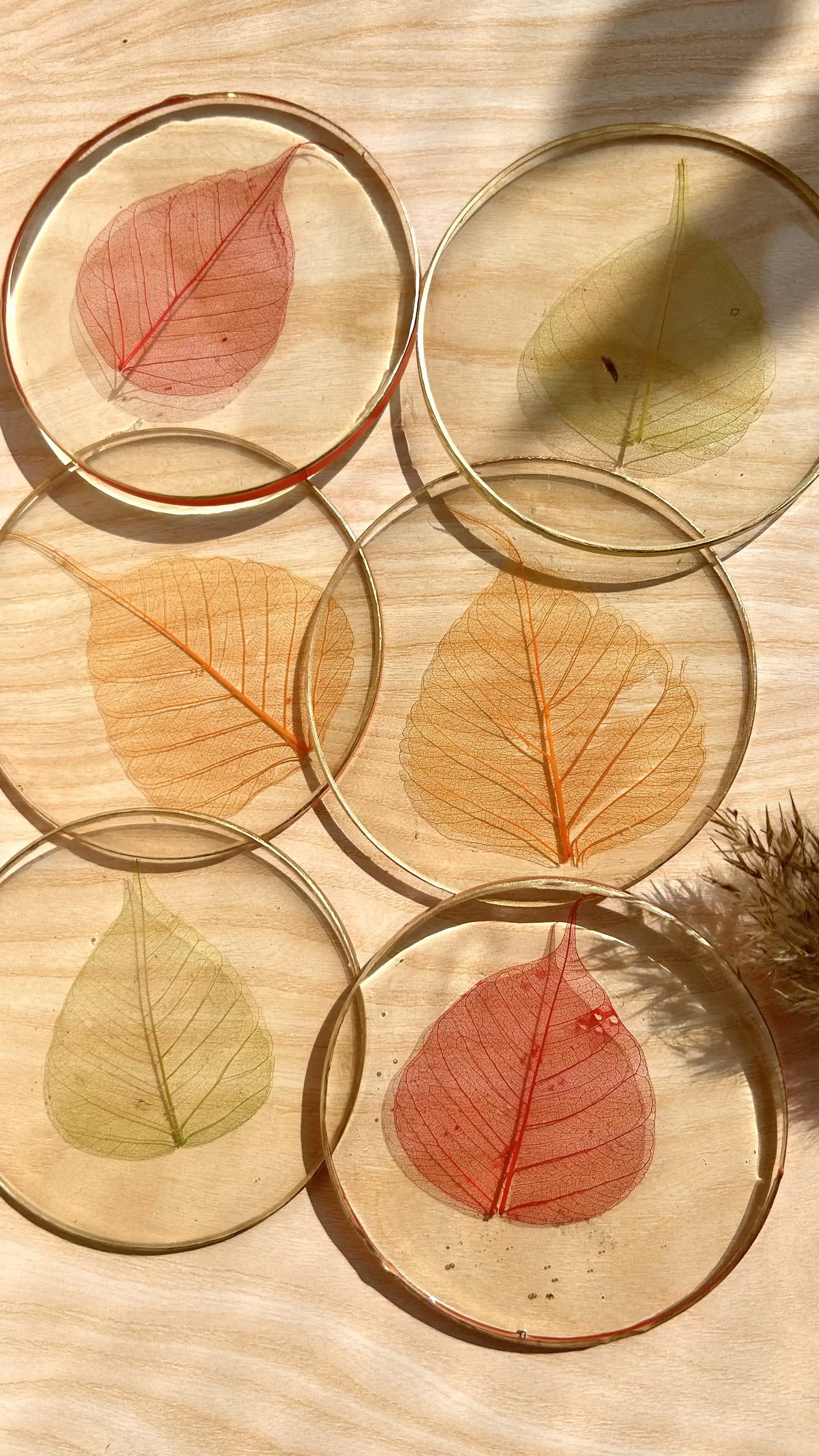 Skeleton Leaf Coasters I - Set of 6