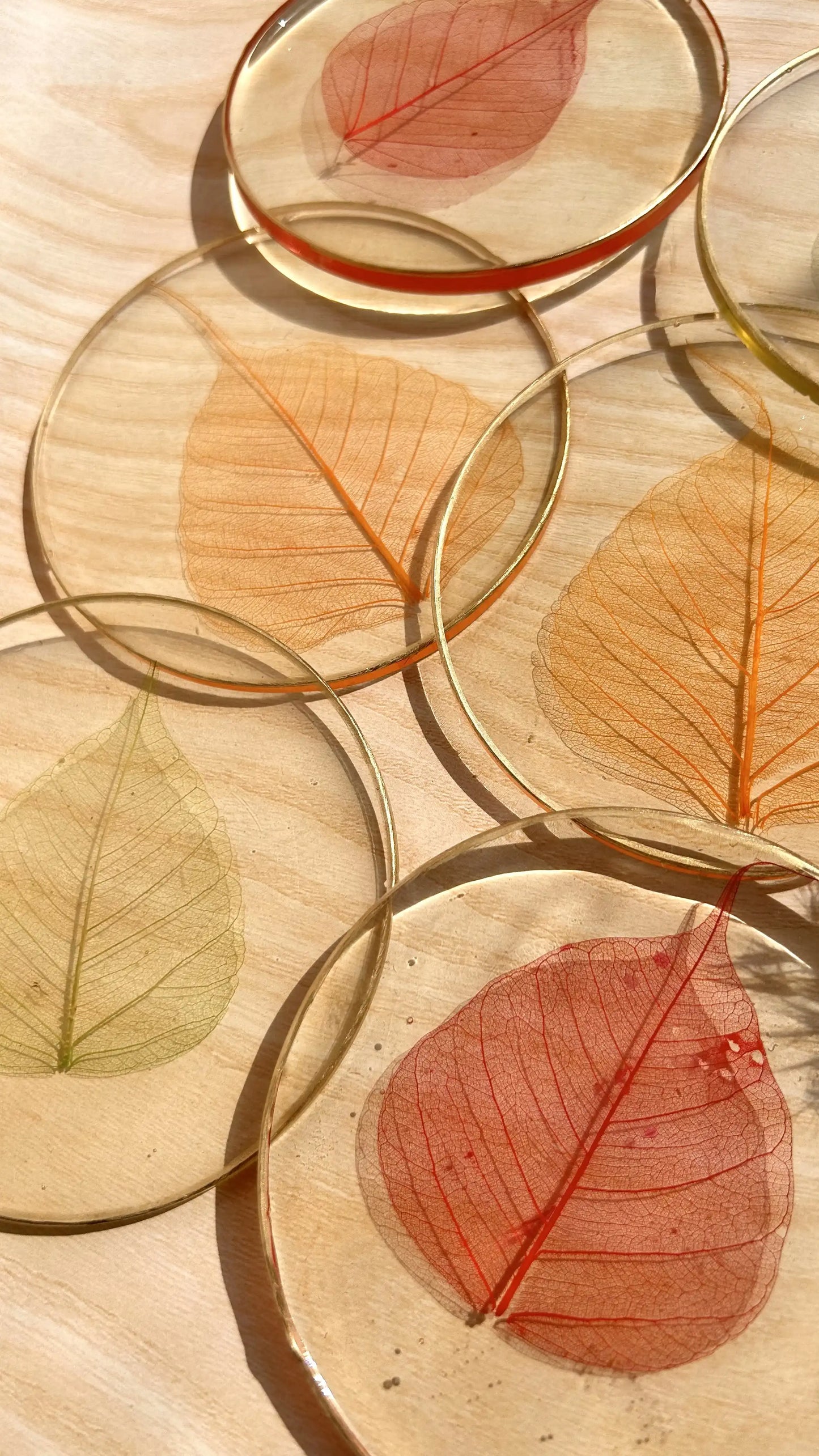Skeleton Leaf Coasters I - Set of 6