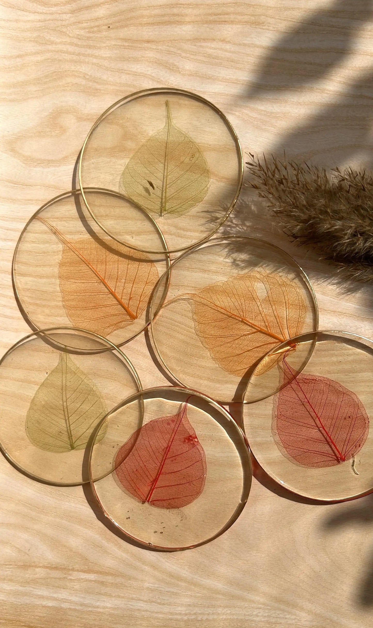 Skeleton Leaf Coasters I - Set of 6