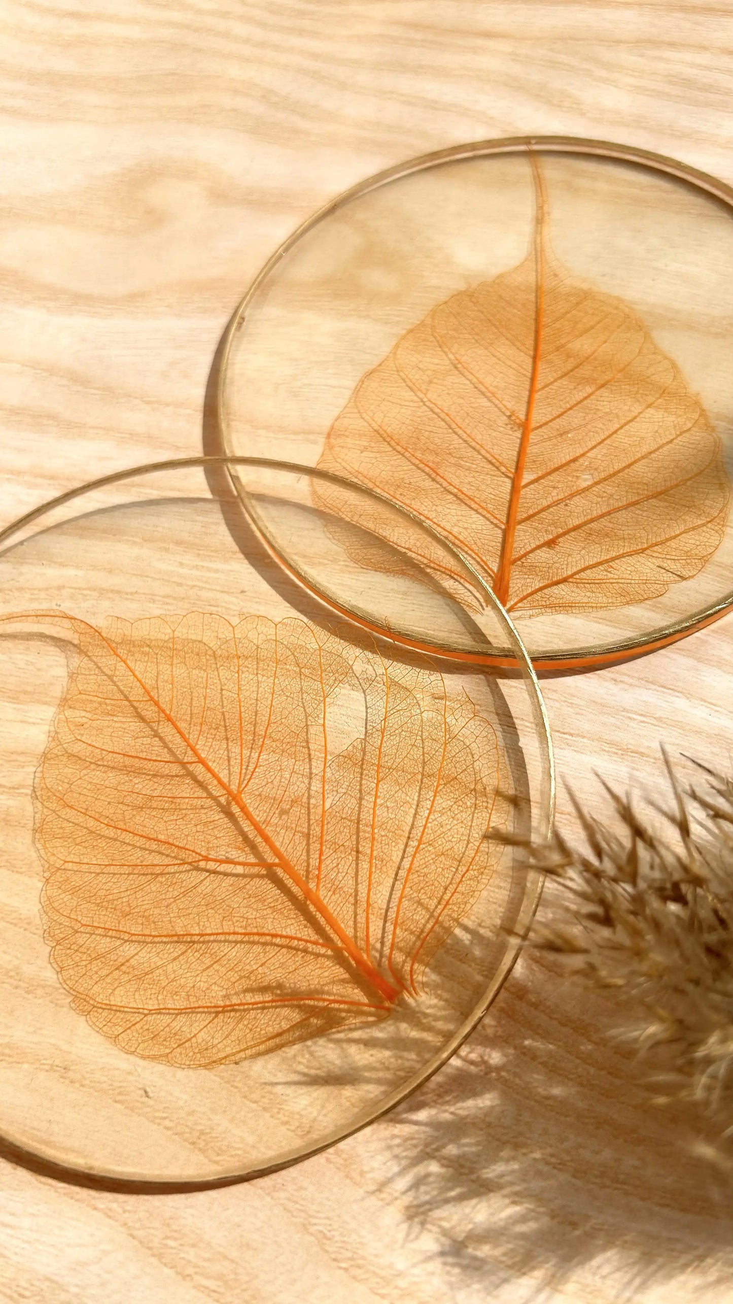 Skeleton Leaf Coasters I - Set of 6