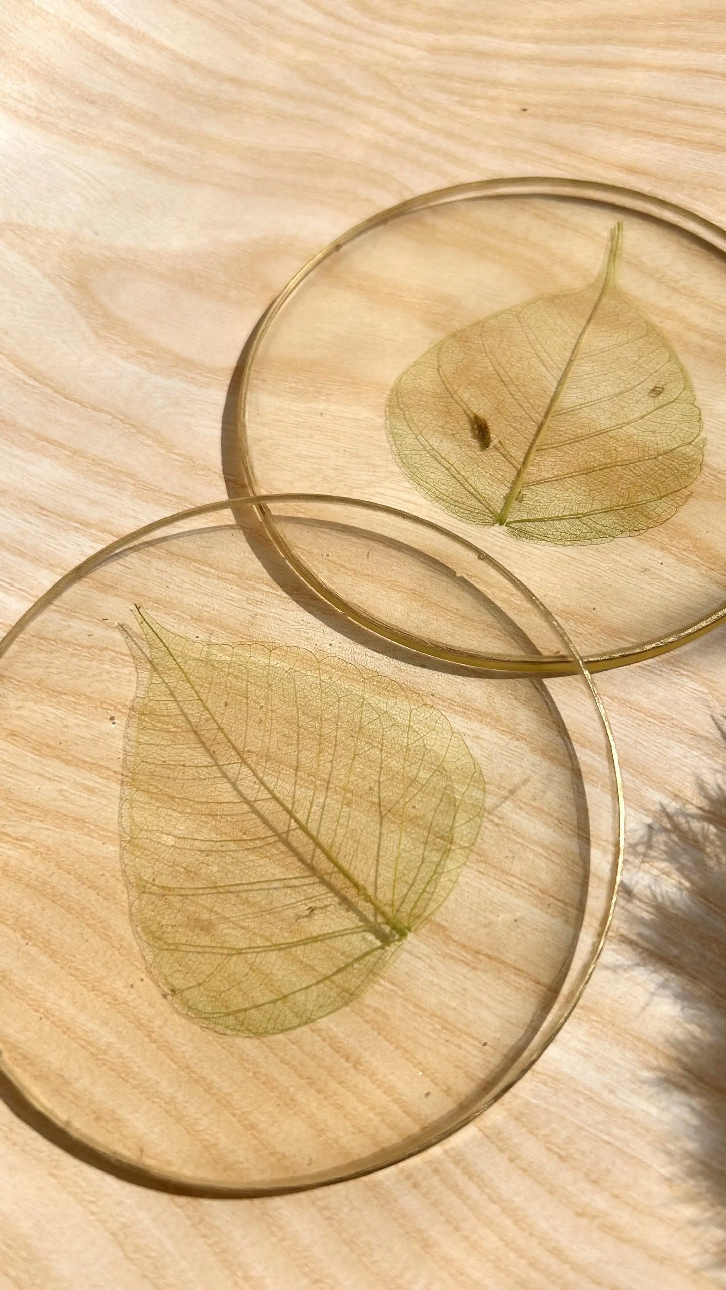 Skeleton Leaf Coasters I - Set of 6