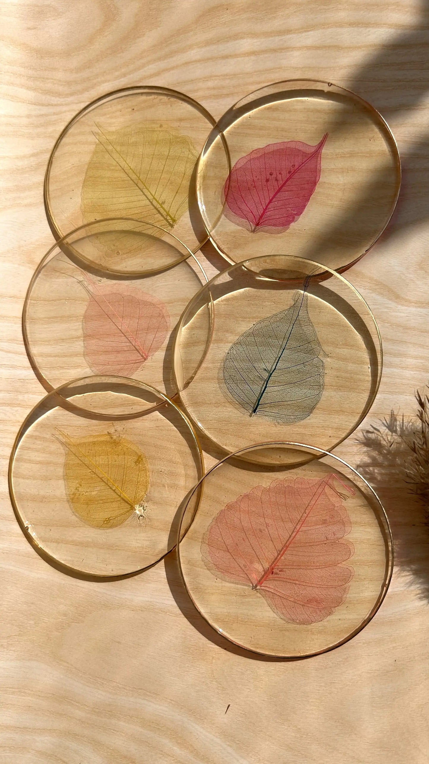 Fig Leaf Mosaic Coasters - Set of 6