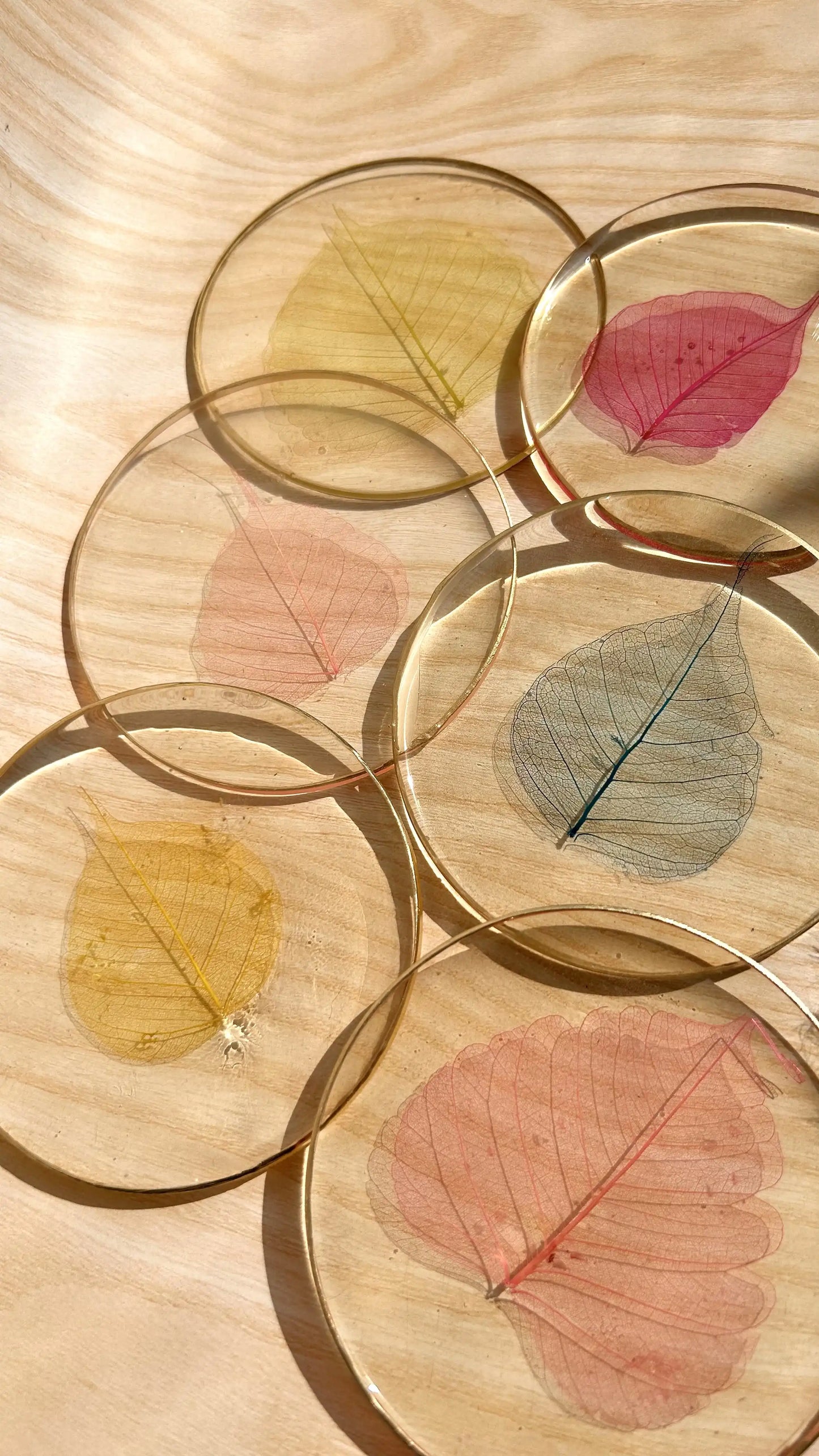 Fig Leaf Mosaic Coasters - Set of 6