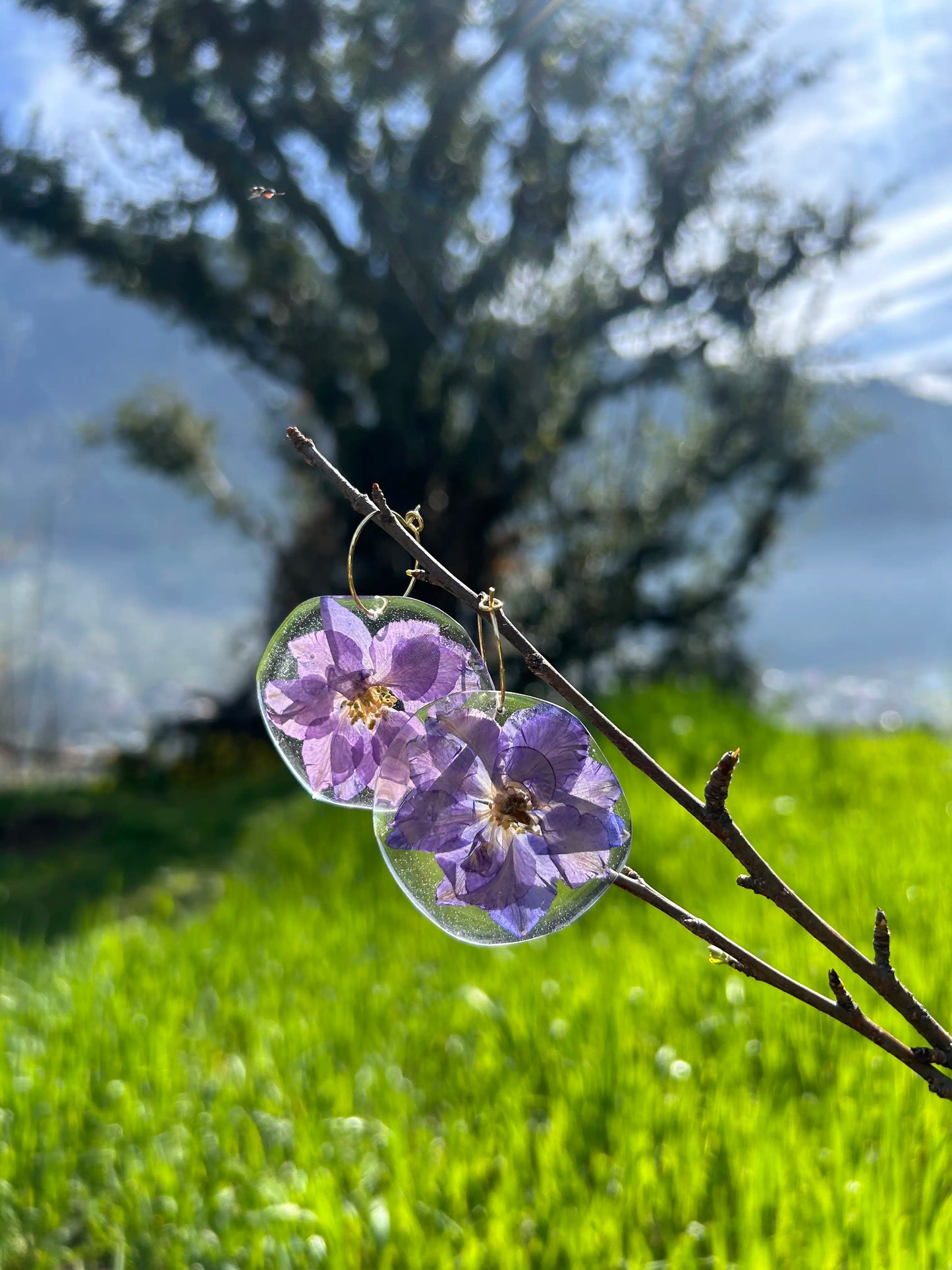 Larkspur Hoop