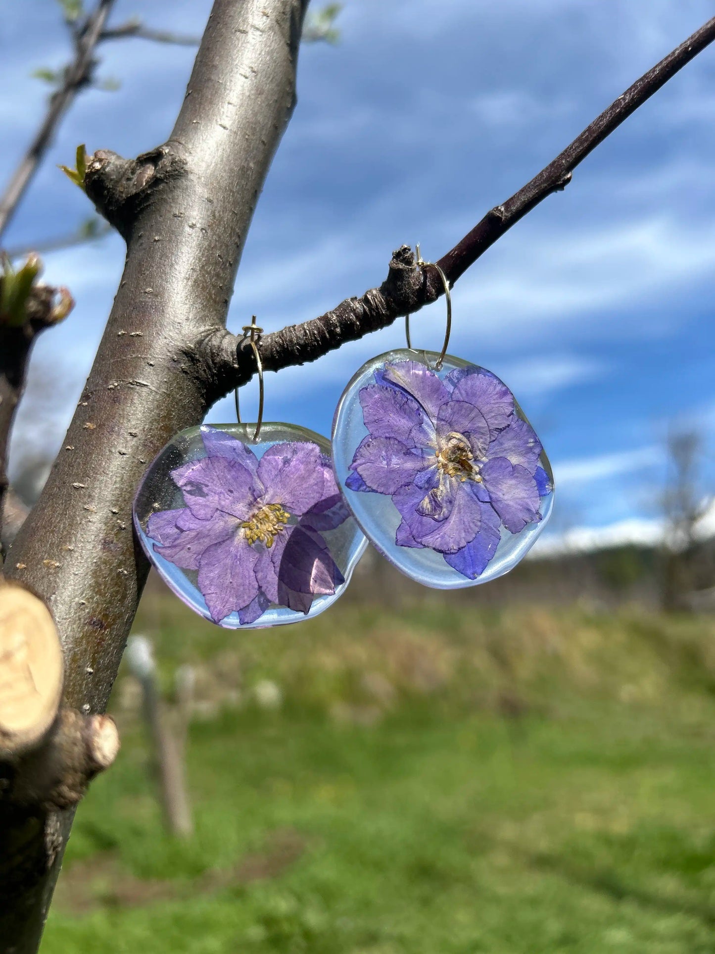 Larkspur Hoop