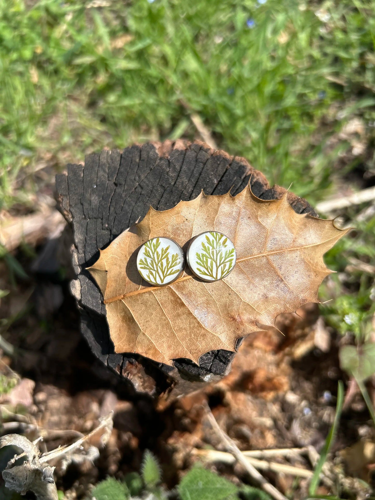 Evergreen Fern Studs