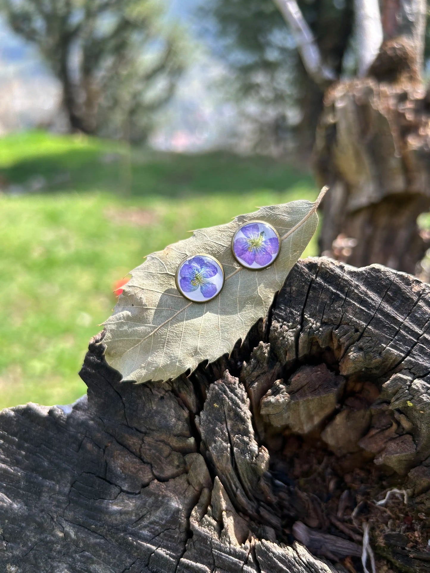 Sweet Sorrel Studs