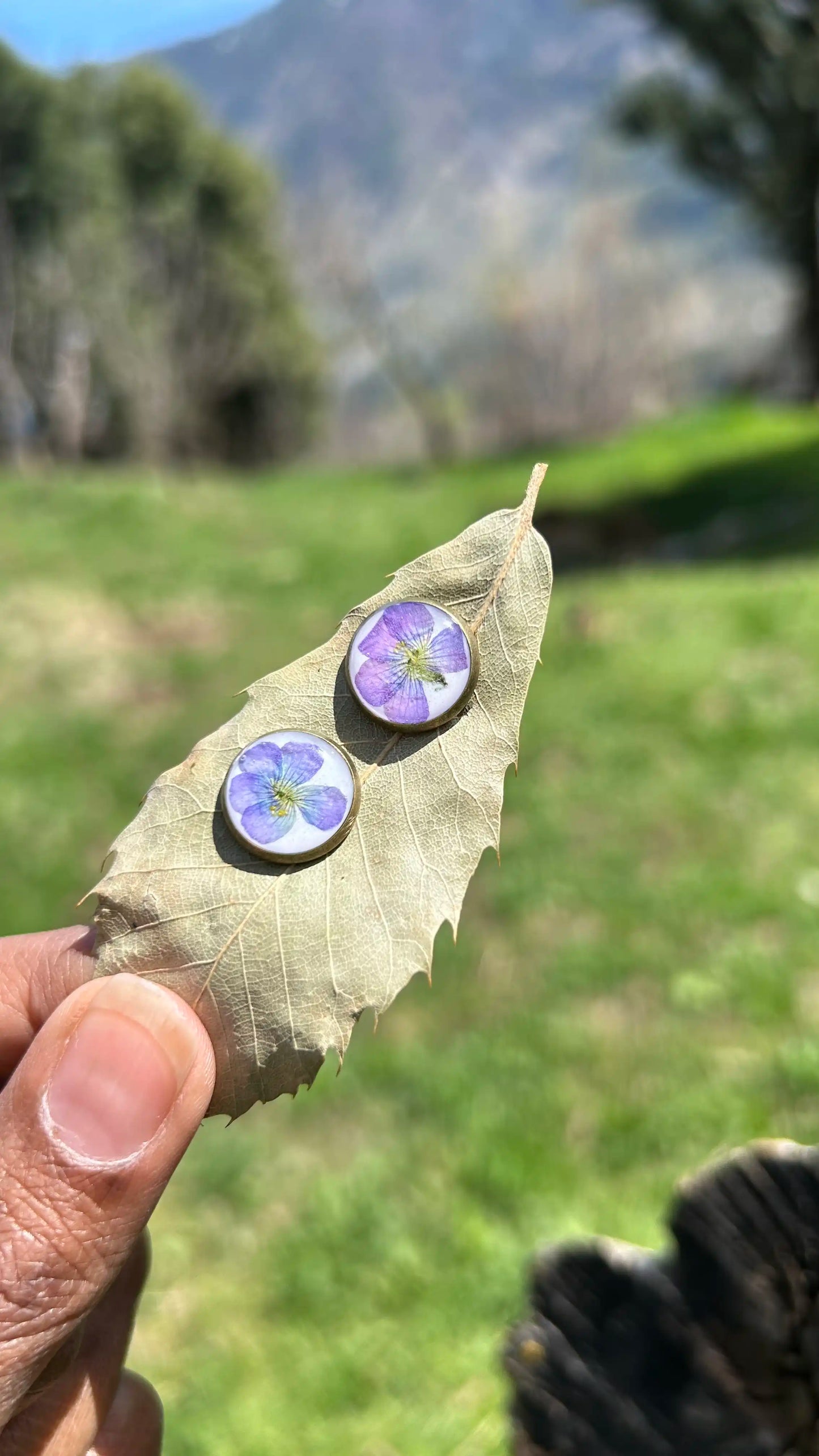 Sweet Sorrel Studs