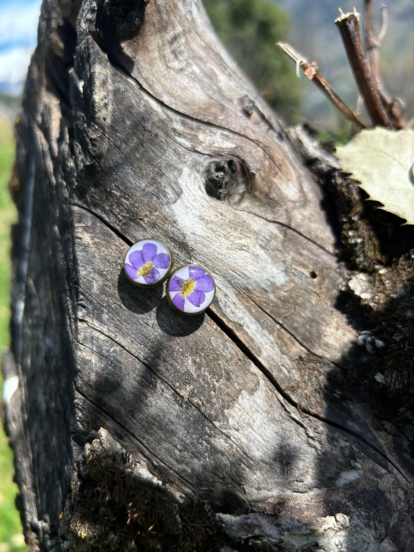 Sweet Sorrel Studs