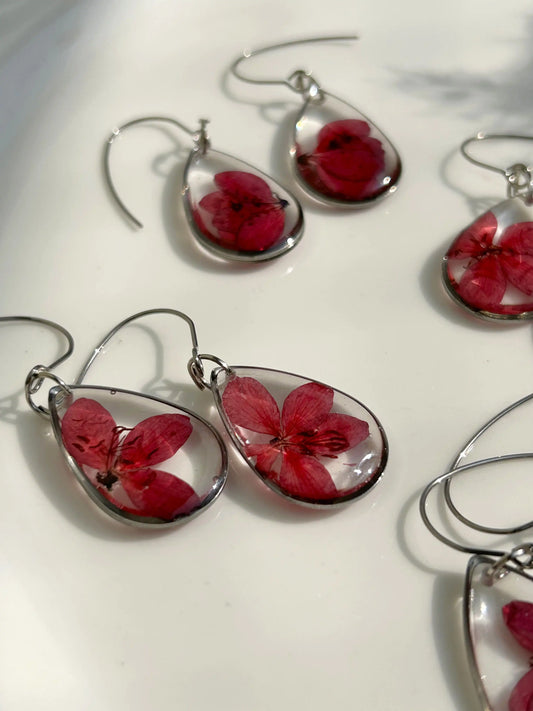 Scarlet Jatropha Drops