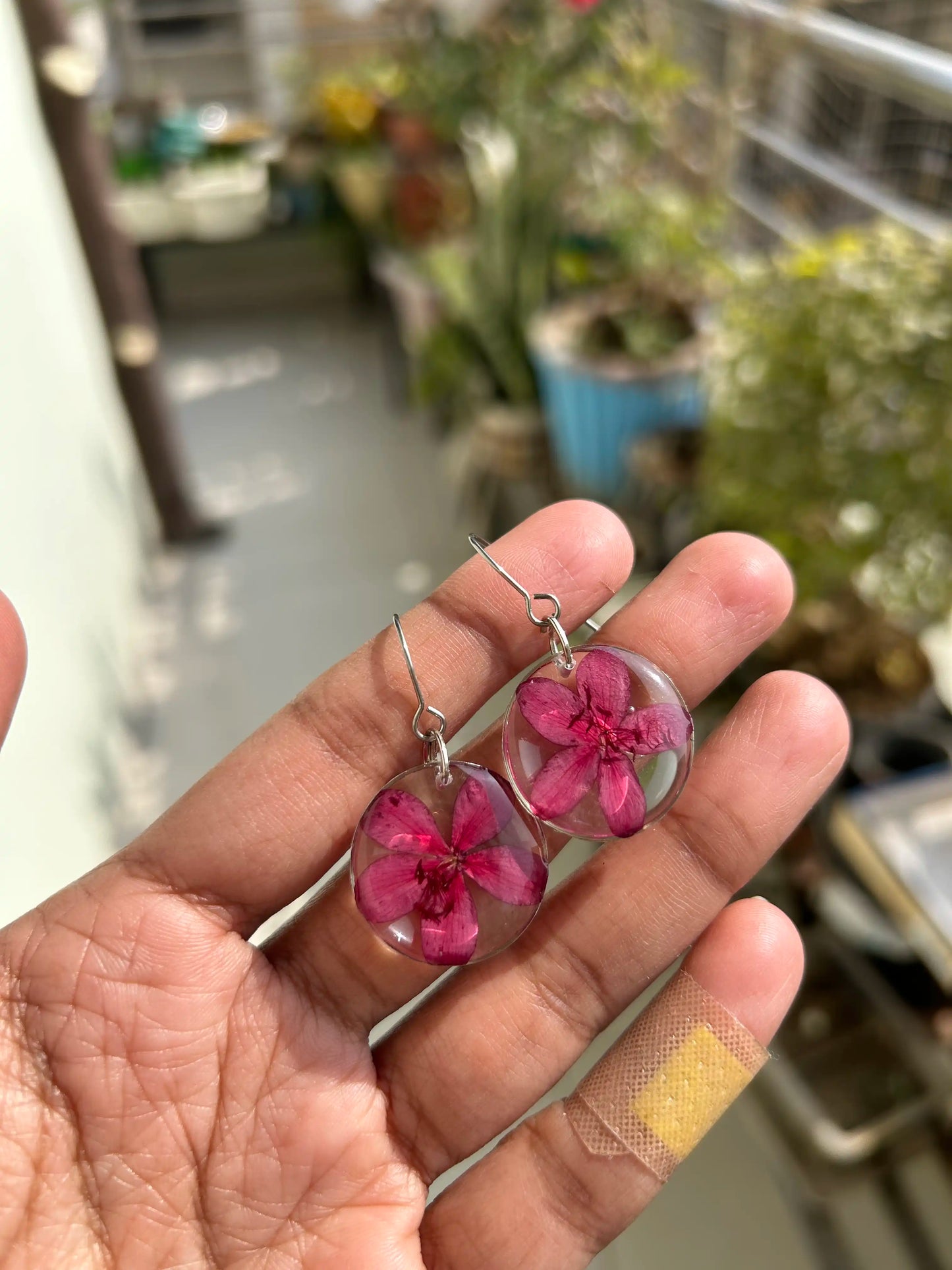 Scarlet Jatropha Drops
