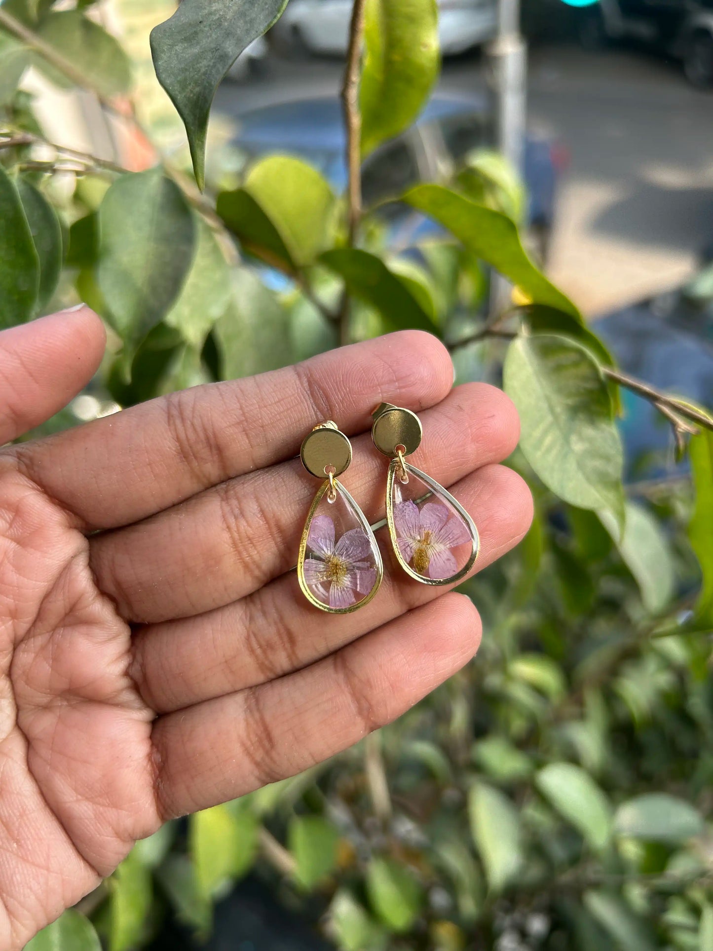 Sorrel Serenity Drops