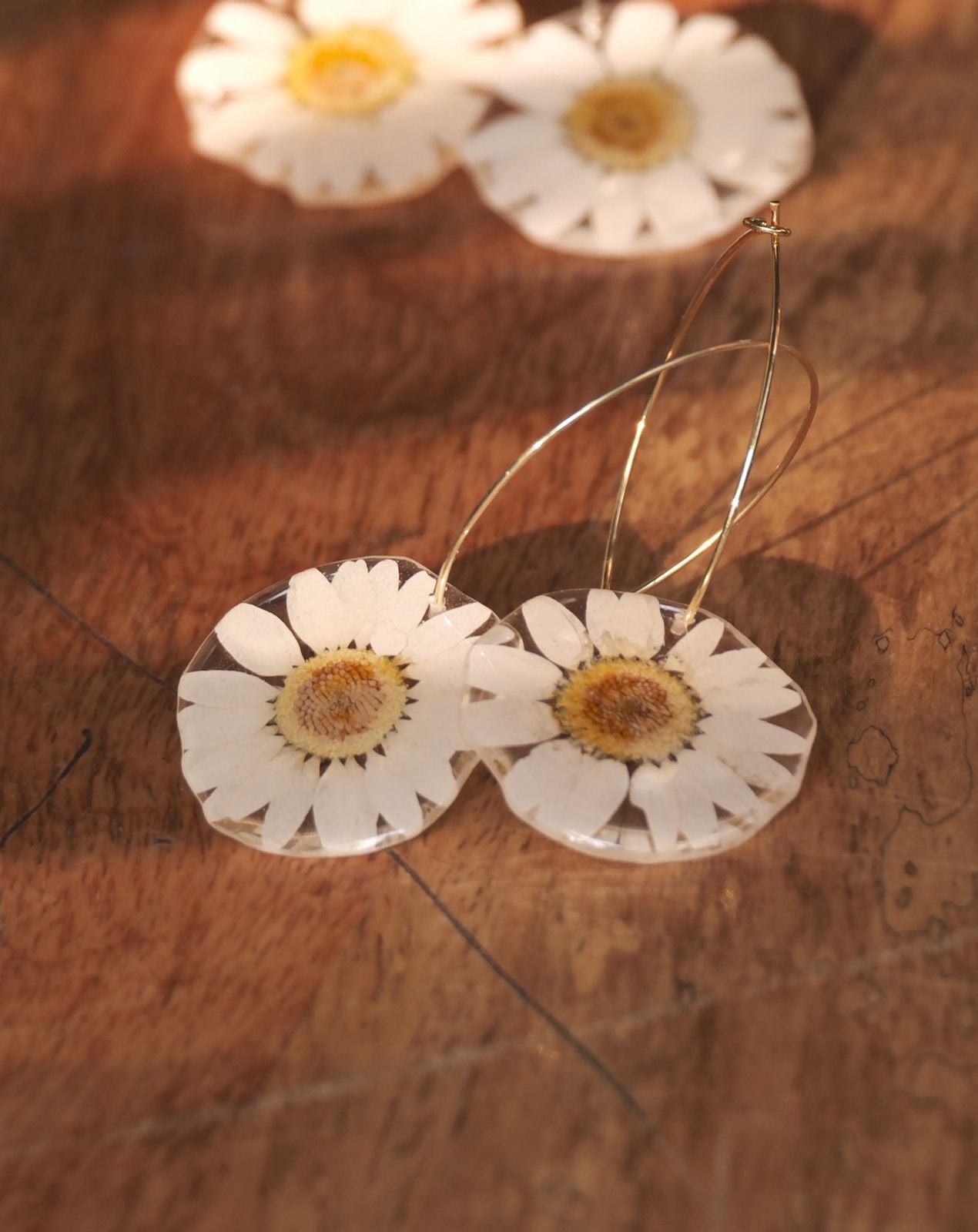 Bloom-Glow Daisy Hoops
