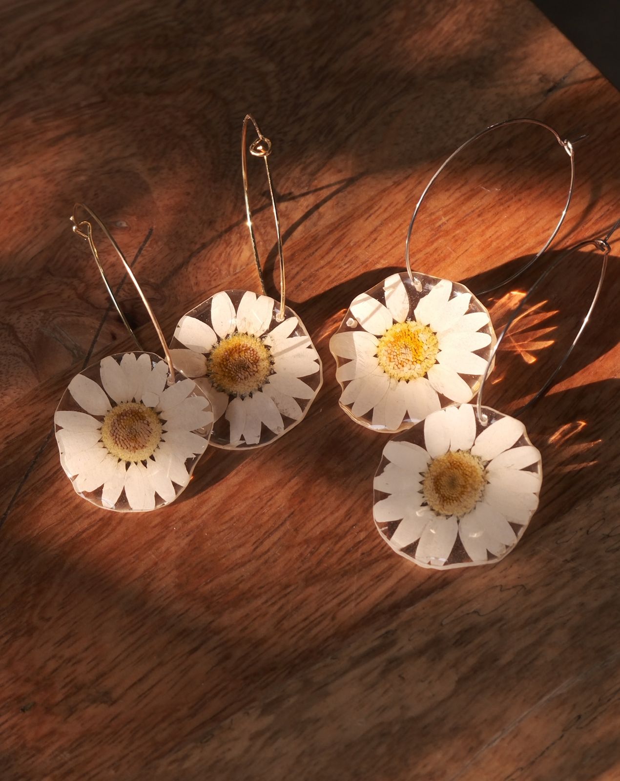 Bloom-Glow Daisy Hoops
