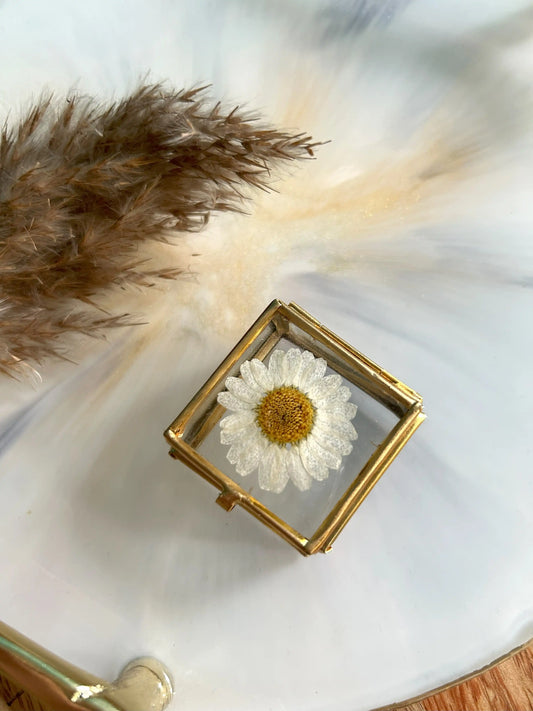 Glass Daisy Delight