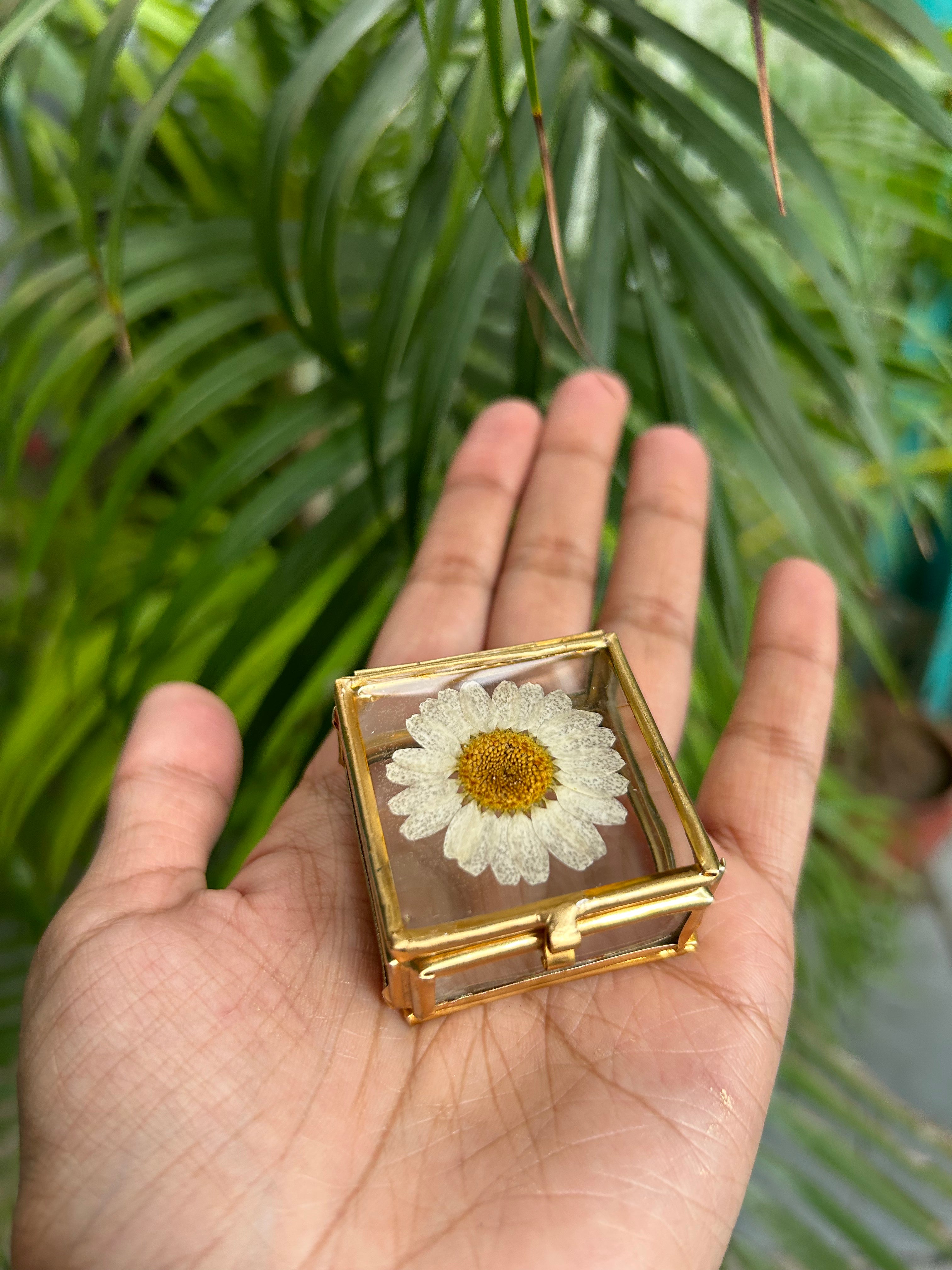 Glass Daisy Delight Box