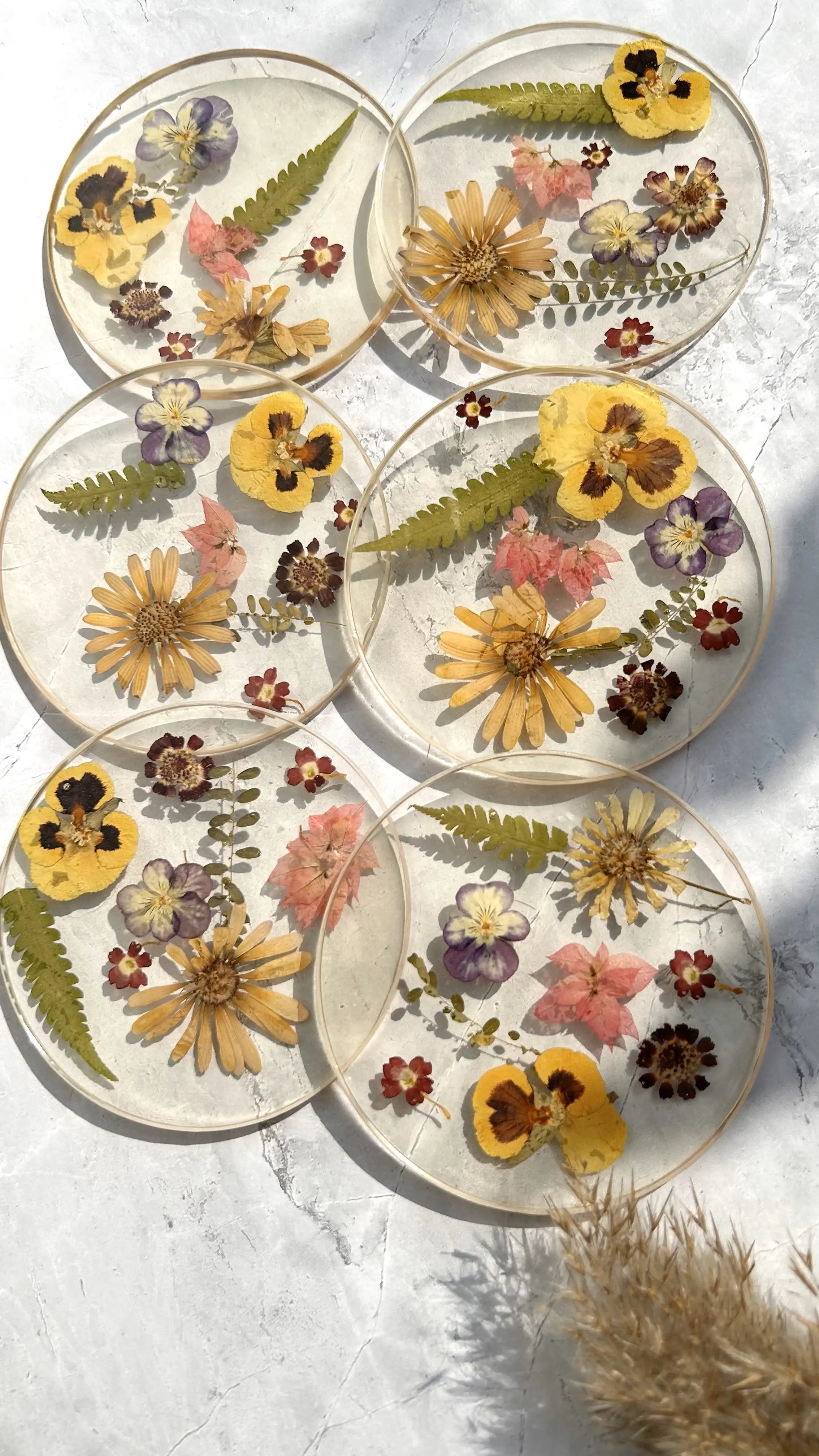 Vivid Flora Coaster Set
