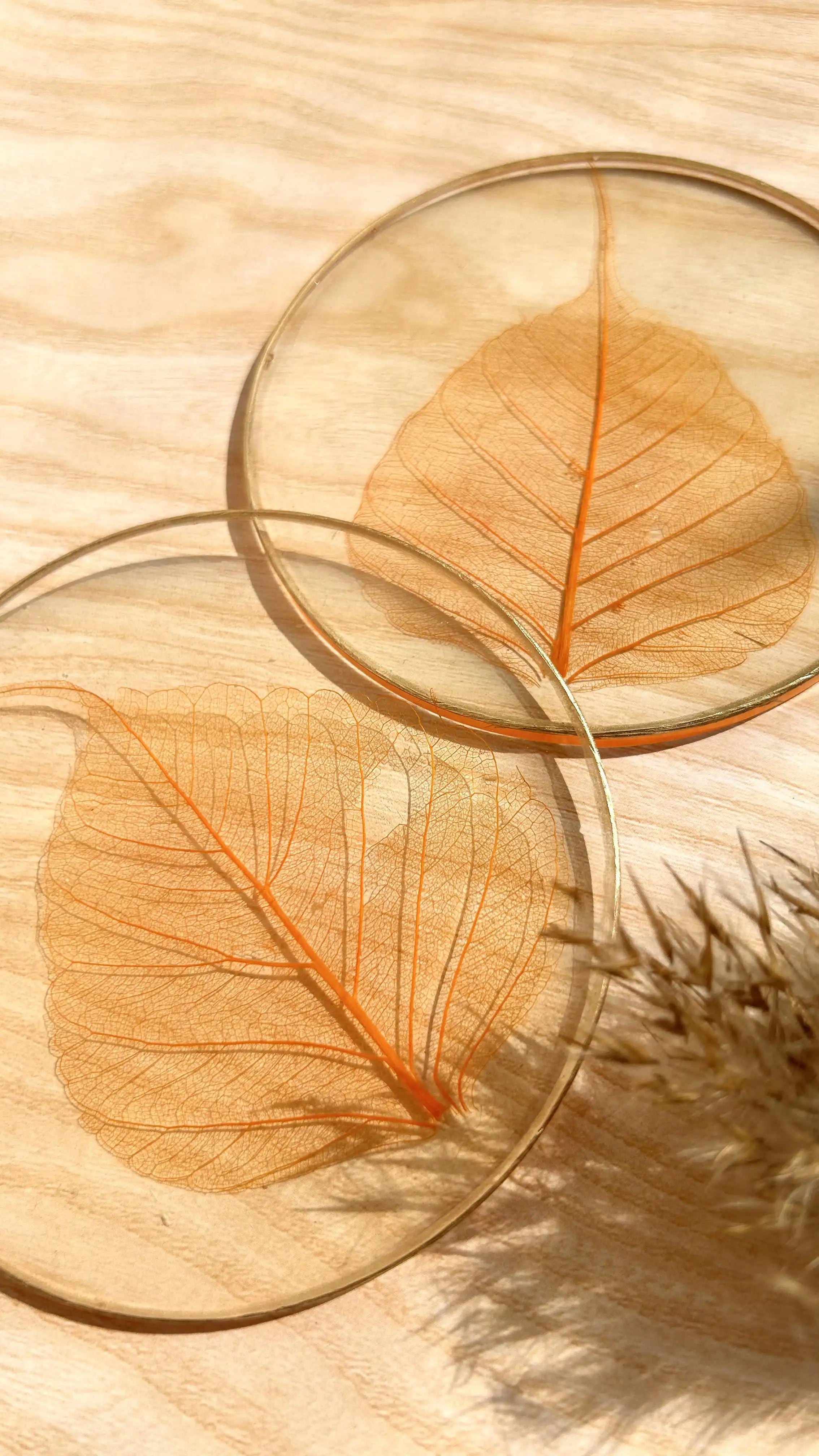Skeleton Leaf Coasters I - Set of 6