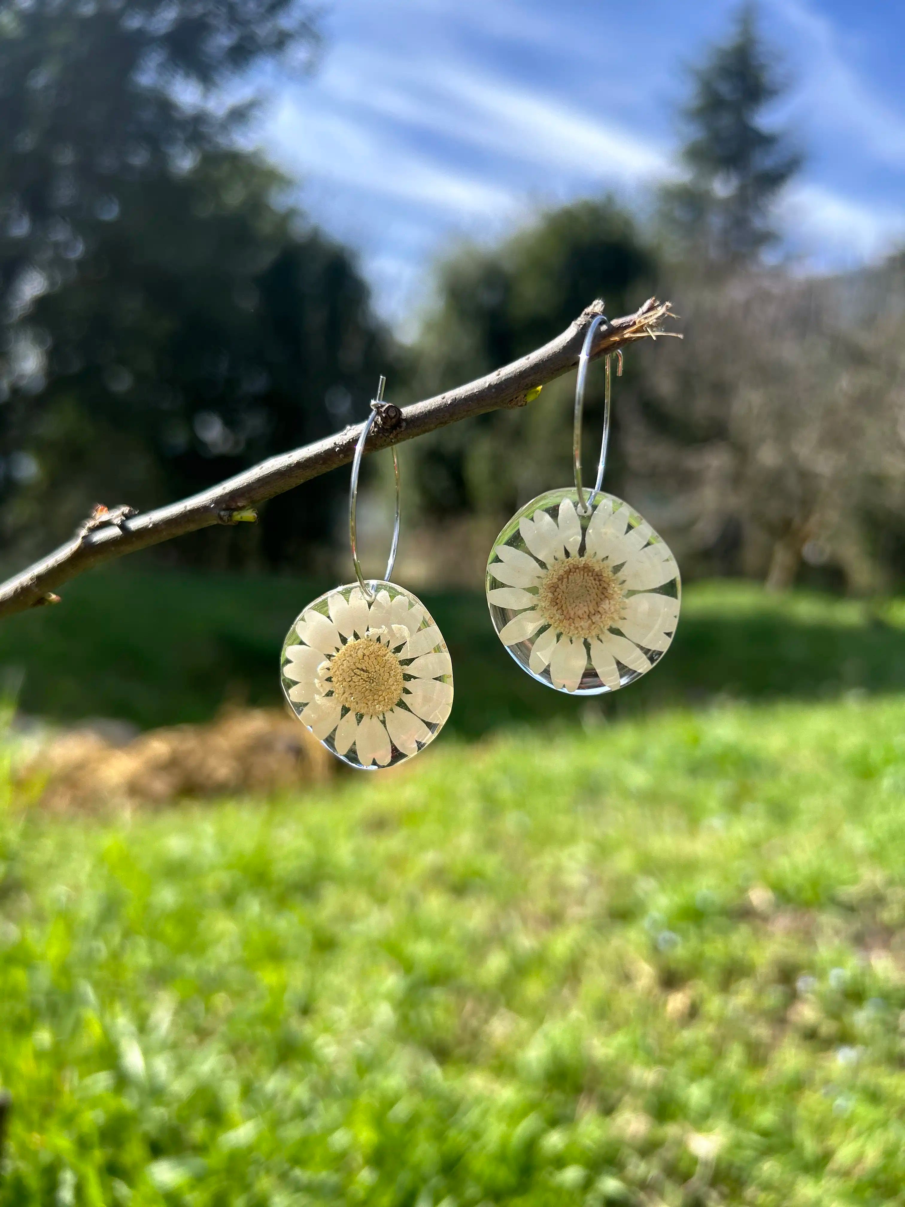 Bloom-Glow Daisy Hoops